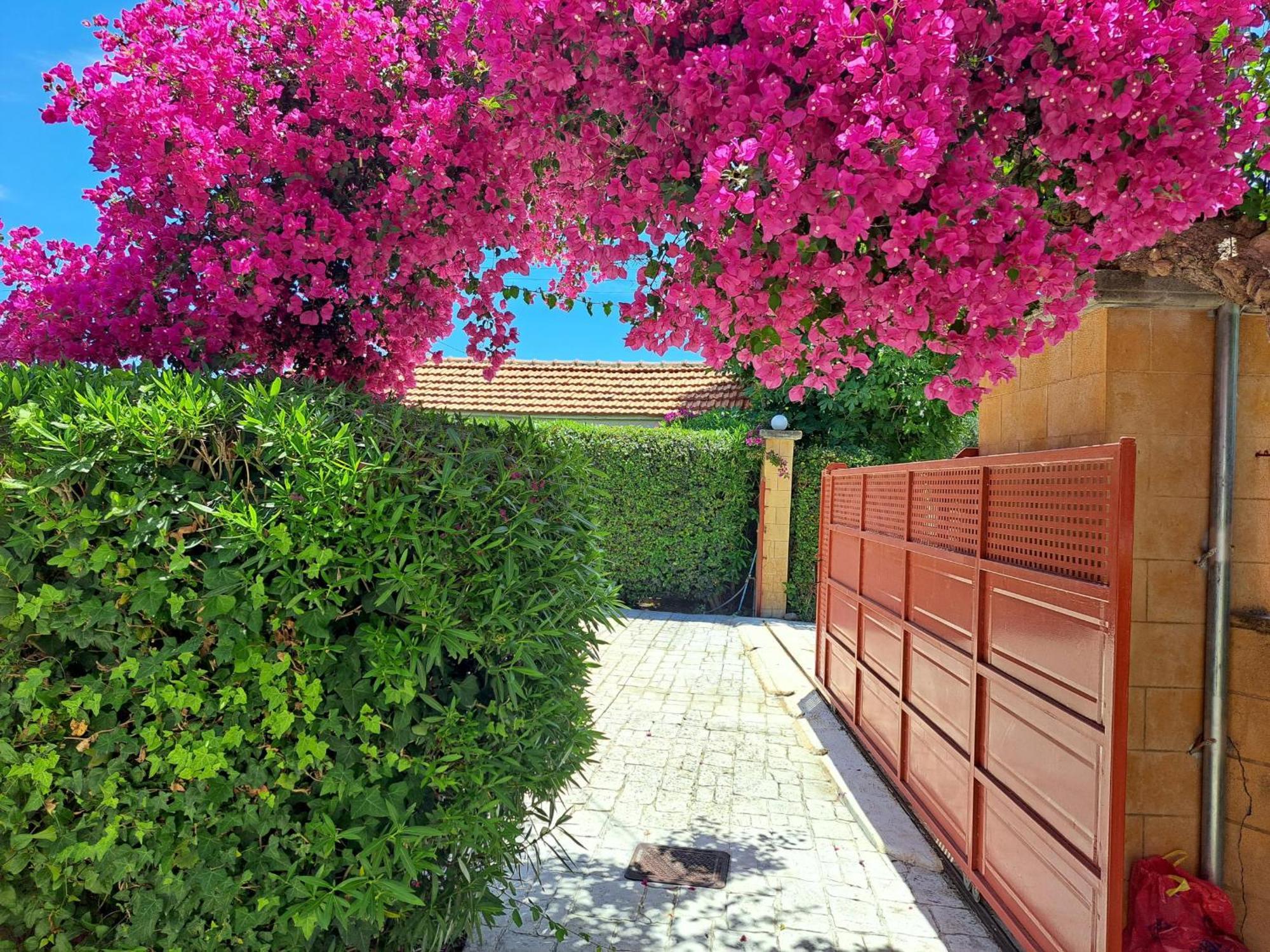 Holiday Home Orfanos Armenoí Dış mekan fotoğraf